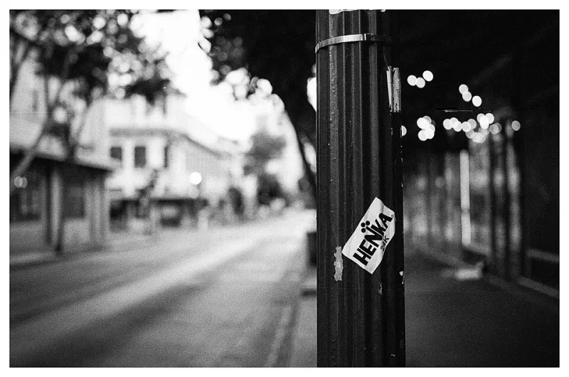 Broken Seals, Beautiful Accidents: How Light Leaks Became the Most Honest Art in Analog Photography